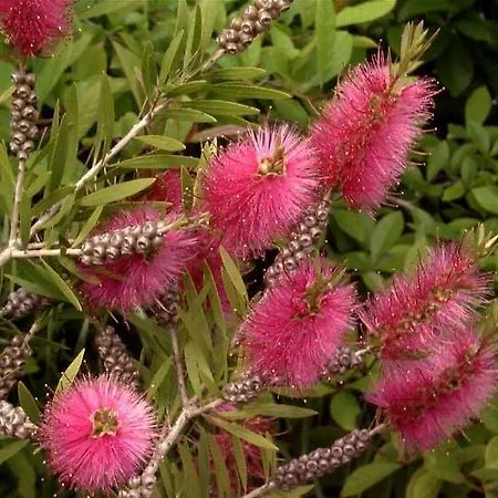 L'aurora Lägenhet Torre Lapillo