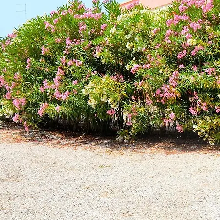 L'aurora Διαμέρισμα