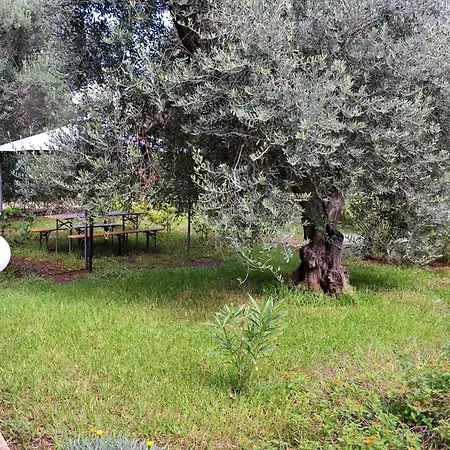 L'aurora Torre Lapillo